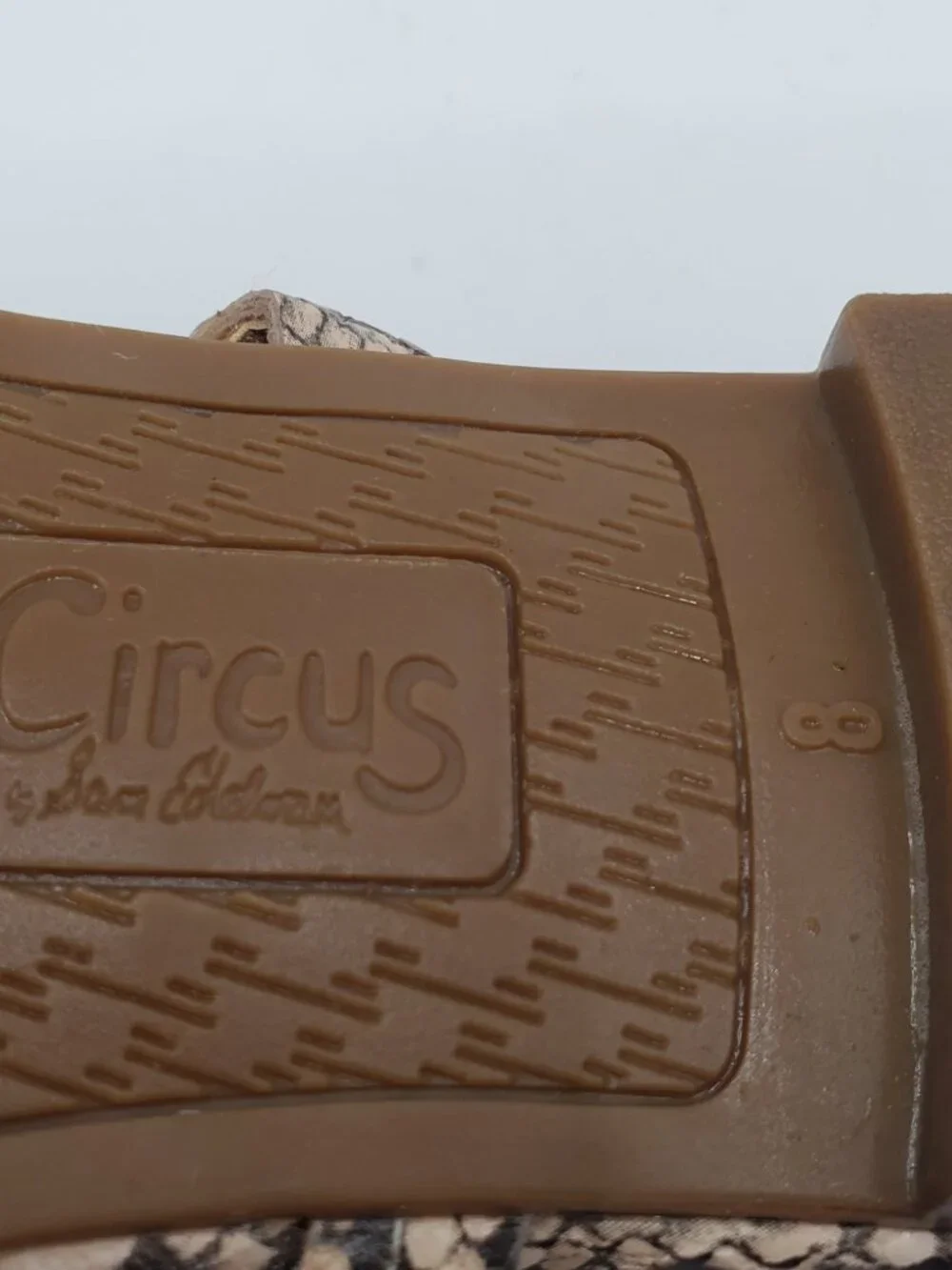 Circus by Sam Edelman Snakeskin Size 8 Slide Sandals